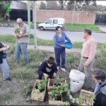 A group of people are planting flowers in the dirt, with some of them holding potted plants.