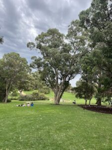 A group of people are sitting on a grassy field, enjoying the outdoors.