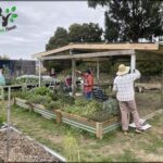 A group of people are working together in a garden, planting flowers and vegetables.