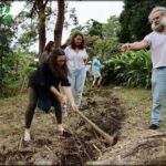 A group of people are working together to dig a garden.