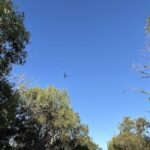 A helicopter is flying through the sky, with a clear blue sky in the background.