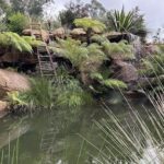 A ladder is leaning against a rock wall, leading to a waterfall.