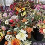 A large assortment of colorful flowers in pots, creating a vibrant and lively display.