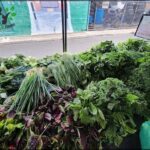 A large assortment of fresh vegetables, including broccoli, are displayed in a market setting.