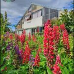 A large building with a red roof is surrounded by a beautiful garden of purple and red flowers.