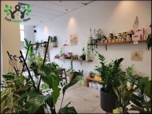 A large collection of potted plants is displayed in a room, creating a lush and vibrant atmosphere.
