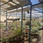 A large collection of potted plants is displayed under a blue roof, creating a vibrant and lively atmosphere.