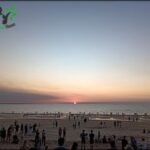 A large crowd of people gather on a beach to watch the sunset.