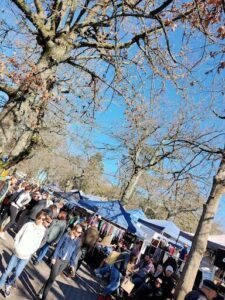 A large crowd of people gathered under a tree, with a variety of tents and umbrellas set up for a market event.