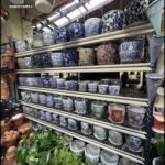 A large display of colorful vases and pots are arranged on a shelf.
