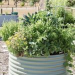 A large garden planter filled with a variety of plants, including broccoli, is placed on a patio.