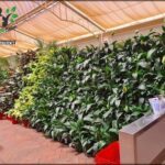 A large green plant wall is displayed in a store.