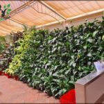 A large green plant wall is displayed in a store.