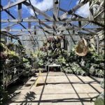A large greenhouse filled with various plants and flowers.