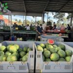 A large group of people are gathered around a fruit stand, with a variety of fruits on display, including watermelons and cantaloupes.
