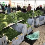 A large group of people are gathered around a produce stand, browsing the fresh vegetables available.