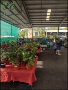 A large group of people are gathered around a table filled with various plants.