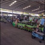 A large group of people are shopping for plants at a market.