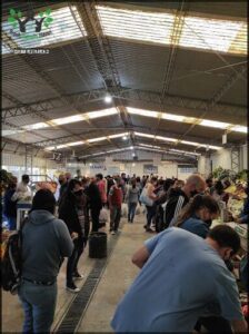 A large group of people are shopping in a market, with some of them carrying handbags.