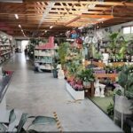 A large indoor plant nursery with a variety of plants and potted plants.