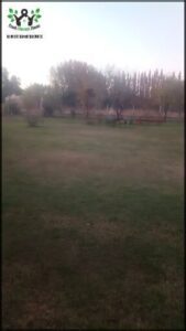 A large, open field with a bench in the middle.