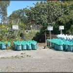 A large pile of bags is sitting on the ground, ready to be filled with plants.