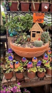 A large pot filled with various plants, including a small house, is on display for sale.