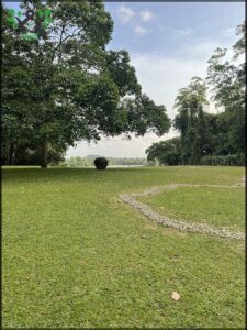 A large rock sits in the middle of a grassy field, surrounded by trees.