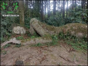 A large stone statue of a person laying down in a forest.