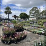 A large variety of potted plants are displayed in a garden shop, with many different types and colors.