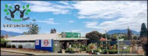 A local garden store with a variety of plants and flowers for sale.