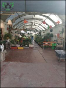 A long walkway in a greenhouse filled with various plants and potted plants.
