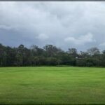 A lush green field with a cloudy sky above.
