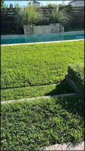 A lush green field with a pool in the background.
