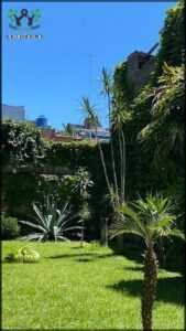 A lush green garden with a variety of plants, including a tall palm tree, is situated in front of a building.