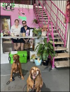 A man and a woman are sitting at a counter with two dogs.