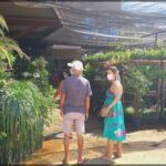 A man and a woman walk through a garden, with the woman wearing a face mask.