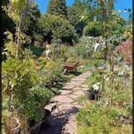 A man and woman walk down a path in a garden, surrounded by flowers and plants.