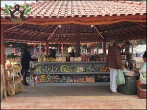 A man is shopping for vegetables at a market.