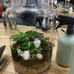 A man is sitting in front of a glass jar filled with plants and rocks.
