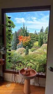 A man is standing in a garden, looking out at the beautiful view.