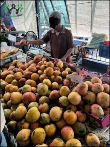A man is standing in front of a large pile of fruit, possibly selling them at a market.