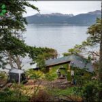 A man is working on a small house in the woods, surrounded by trees and a lake.