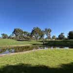 A man stands alone by a pond, enjoying the peacefulness of the surroundings.