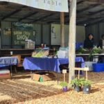 A man stands behind a table filled with vegetables, including broccoli, at a farmers market.