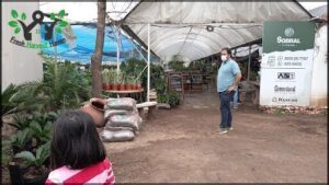 A man stands in a dirt lot, surrounded by potted plants and bags of dirt.