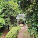 A man stands in front of a white gazebo in a forest.