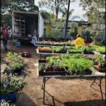 A man stands near a table full of potted plants, possibly selling them.