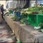 A market stand with a variety of vegetables, including broccoli and cauliflower, is set up for sale.