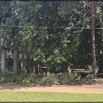 A park bench is surrounded by trees and greenery, providing a peaceful and relaxing spot for visitors.